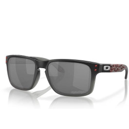Oakley Holbrook TLD Black...