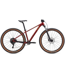 Liv Tempt 2 29 2026 Fahrrad