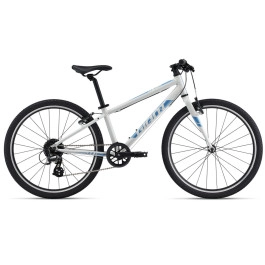 Bicicletta Giant ARX 24 25