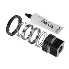 Kit Servei Dt Swiss Ratchet...