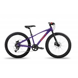 BH Expert Junior 24" Disc...