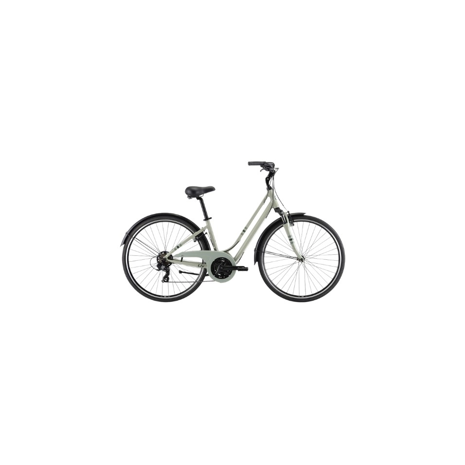 Bicicleta Liv Flourish FS 3 25