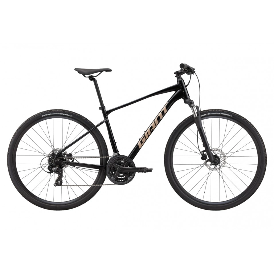 Vélo Giant Roam Disc 4 25
