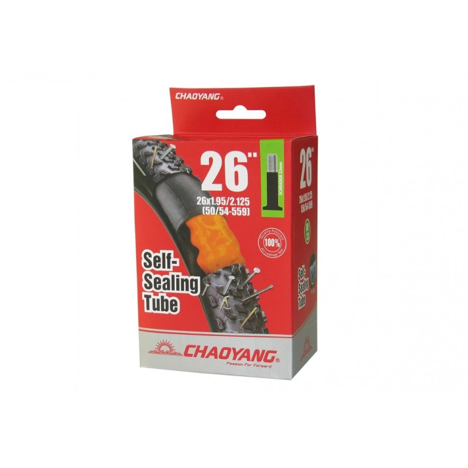 Camara Chaoyang Antipinchazo 26 Schrader 33mm