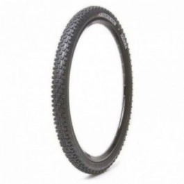 Hutchinson Iguana 26...