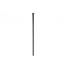 Radio DT Swiss Champion...