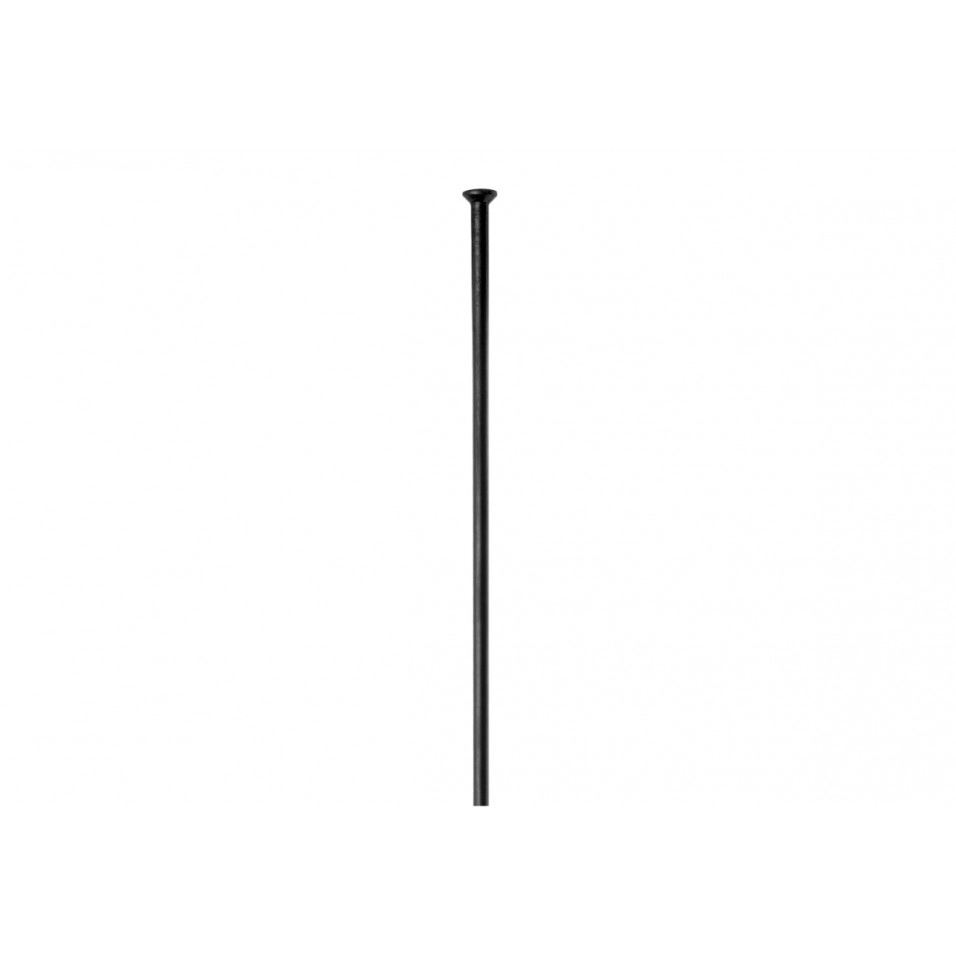 Radio DT Swiss Champion Straight Pull 2.0 (1Ud)