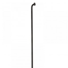 Radio DT Swiss Champion 2.0