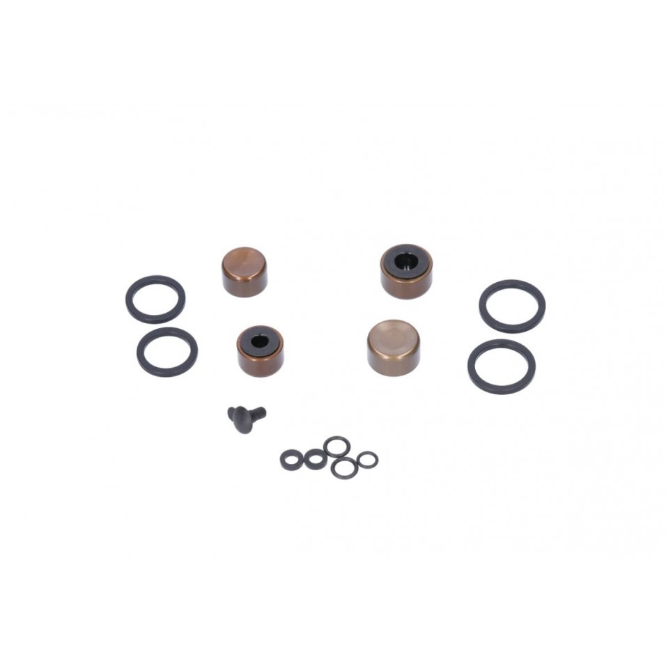 Kit Piston Pinça Sram Guide Ultimate 16mm/14mm