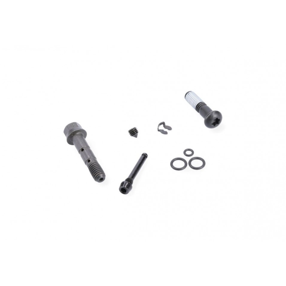Sram Guide R/RS Bremssattelschrauben-Kit
