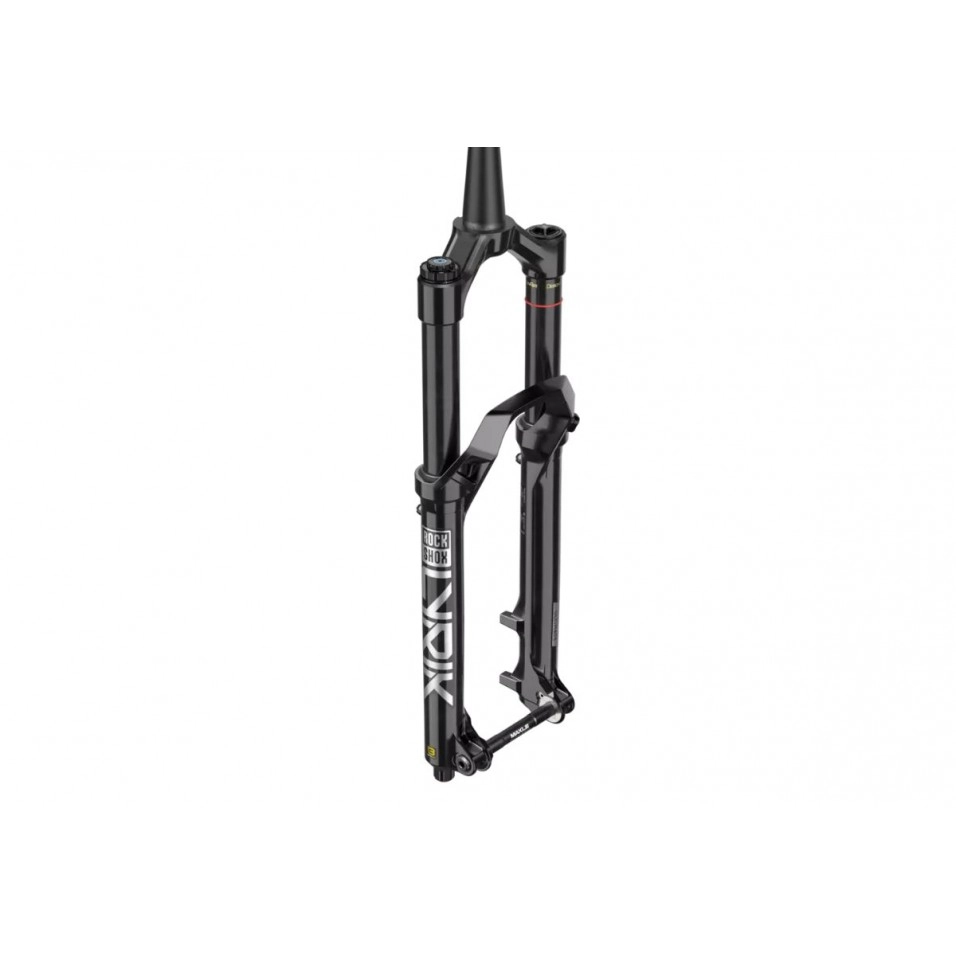 Rock Shox Lyrik Ultimate Charger 3 RC2 29 Boost 160 mm Gabel