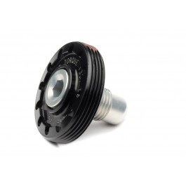 Tapa dell'asse e vite...