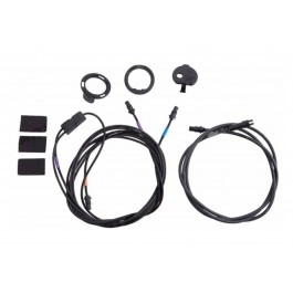 Cable Campagnolo Al...