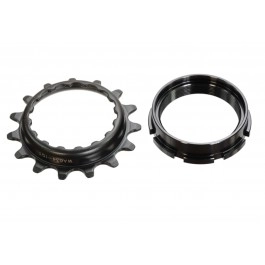 Piñon i Contrafemella...