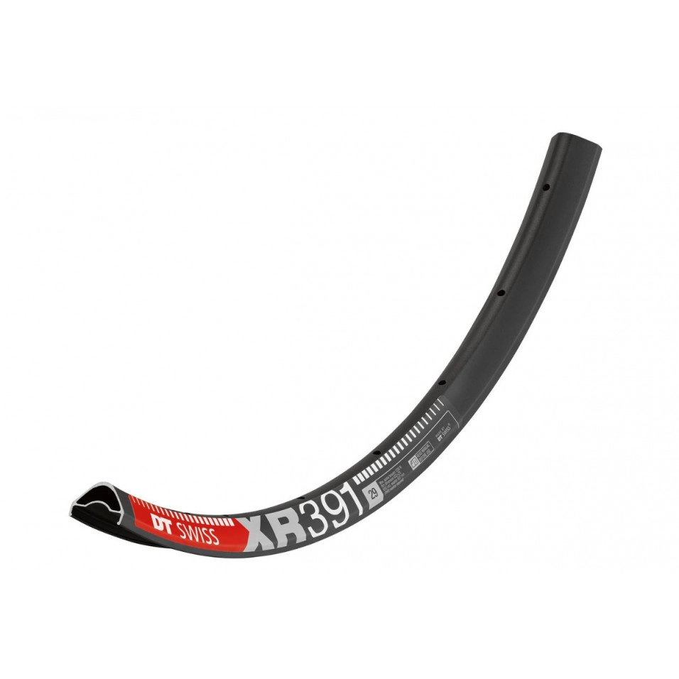 Jante DT Swiss XR 391 Disc 29" 25 mm 28H
