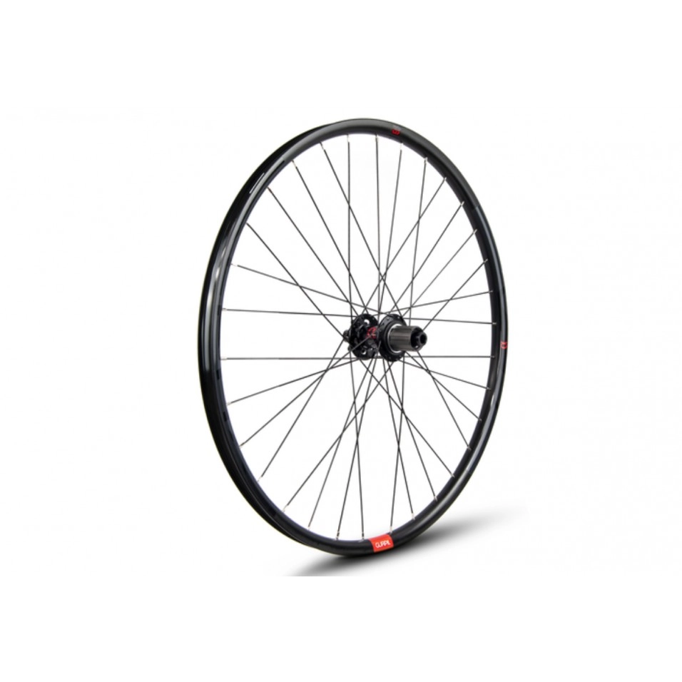 Rueda Gurpil Alpha 29 12x148mm Boost Posteriore