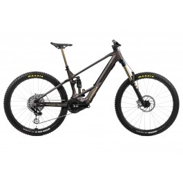 Bicicletta Orbea Wild M-LTD 24
