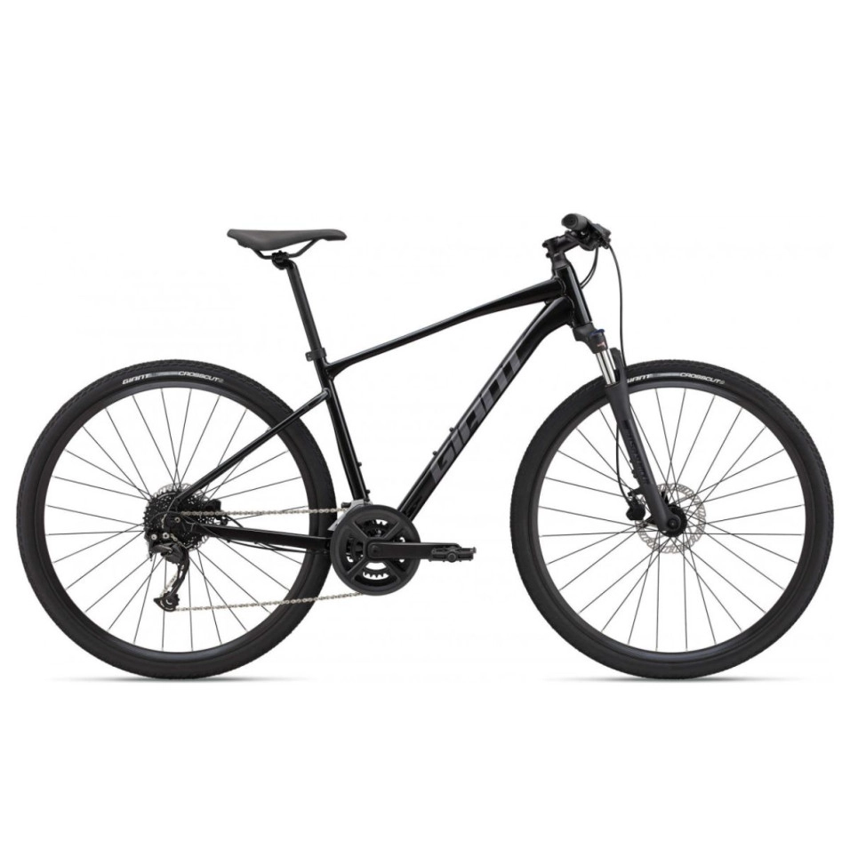 Bicicleta Giant Roam Disc 2 25