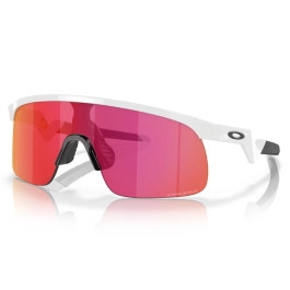 Gafas Oakley Resistor Prizm
