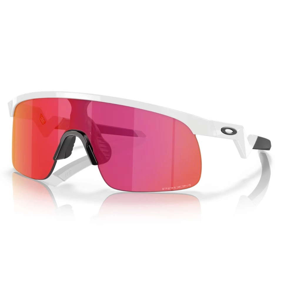 Gafas Oakley Resistor Prizm