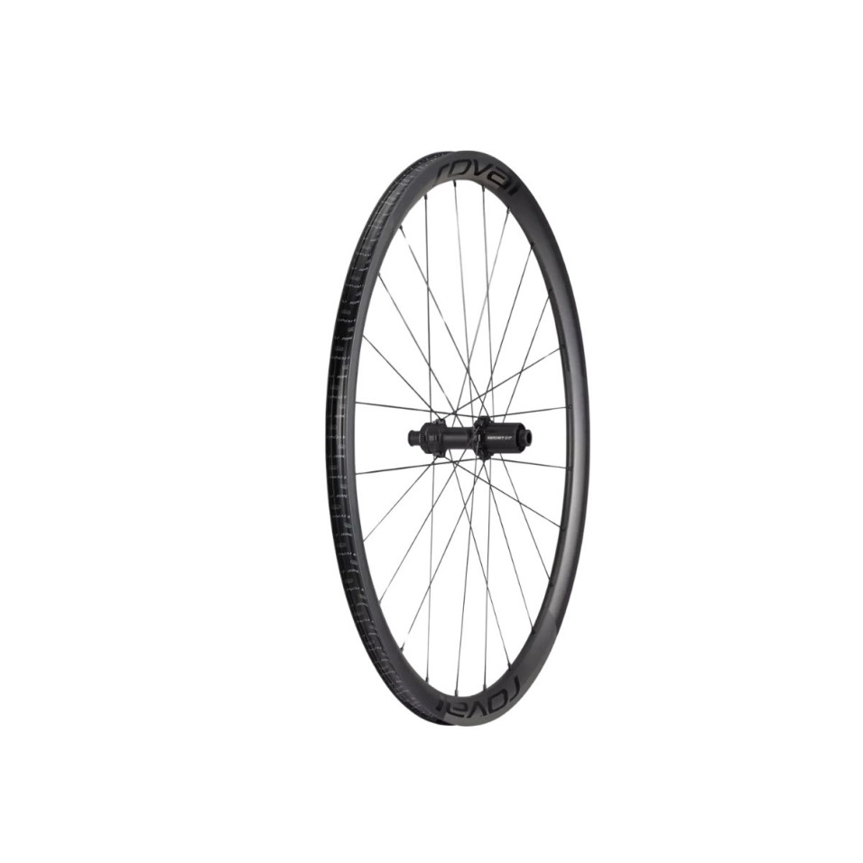 Rueda Roval Posteriore Alpinist CLX II 700