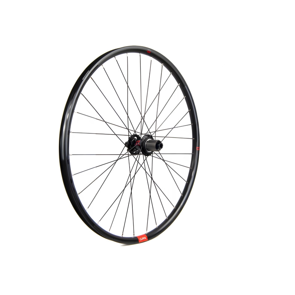 Rueda Gurpil Posteriore Alpha 29 6T 12x148mm Boost