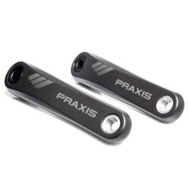 Bielles Praxis de Carboni...