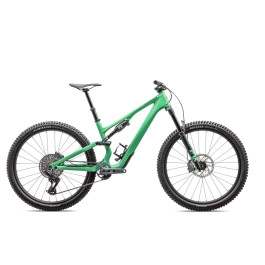 Bicicletta Specialized...