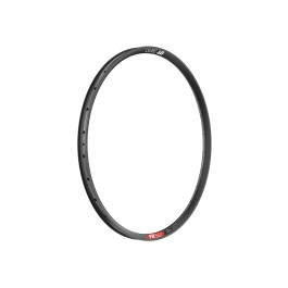 Cerchio DT Swiss FR 541...