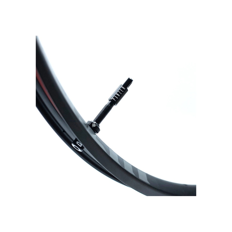 Panzer Tubeless Ventil 48mm (2Ud)