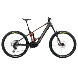 Bicicleta Orbea Wild M10 25