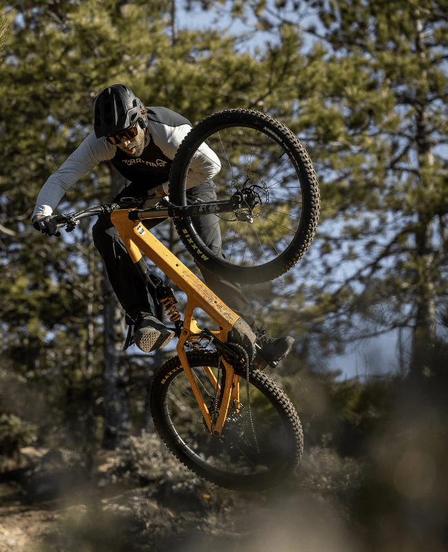 Bicicleta Orbea RISE