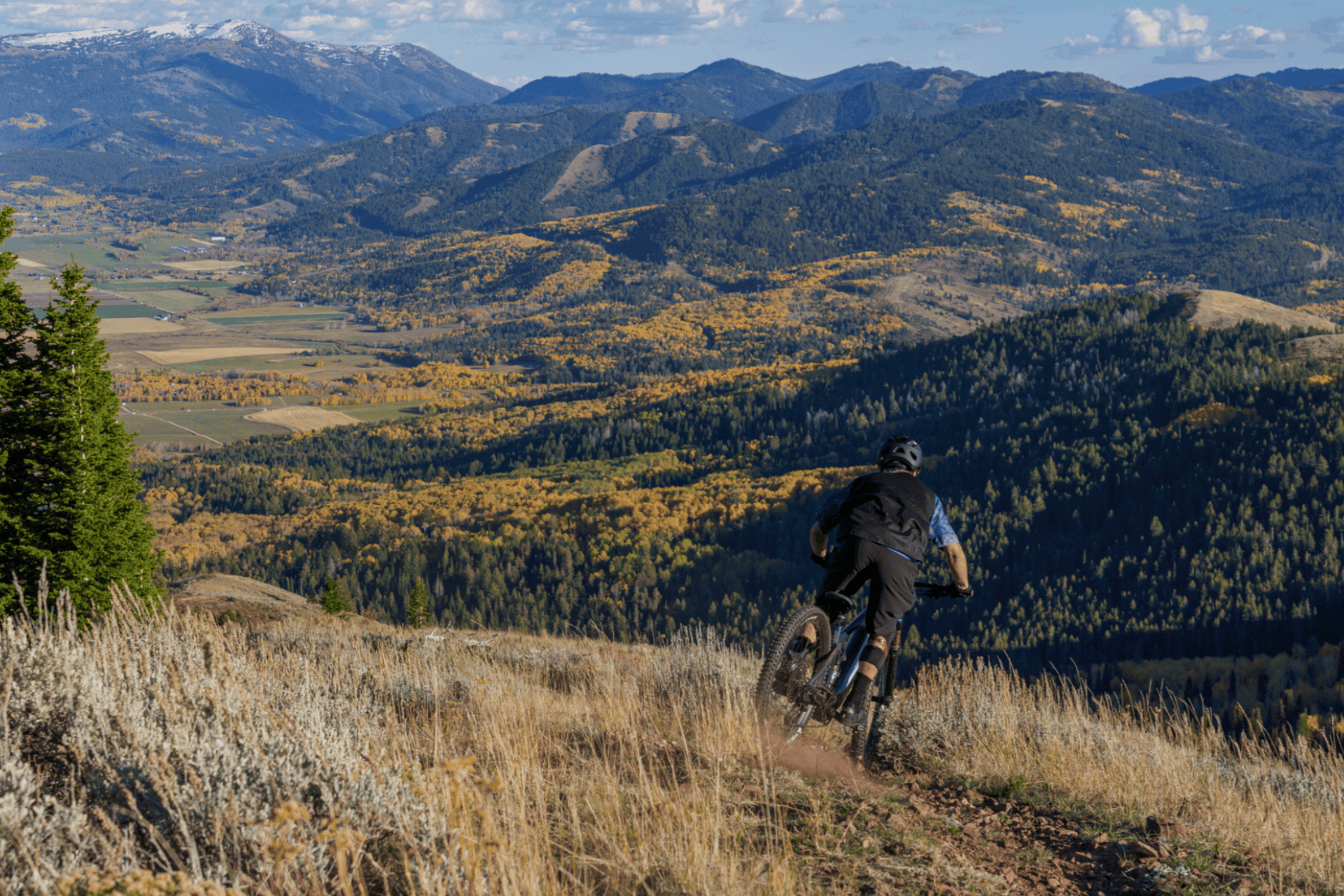 Vélos GIANT REIGN E+