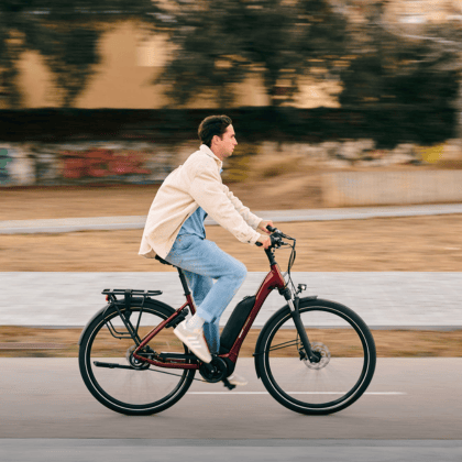 Bicicleta Liv Vall E+