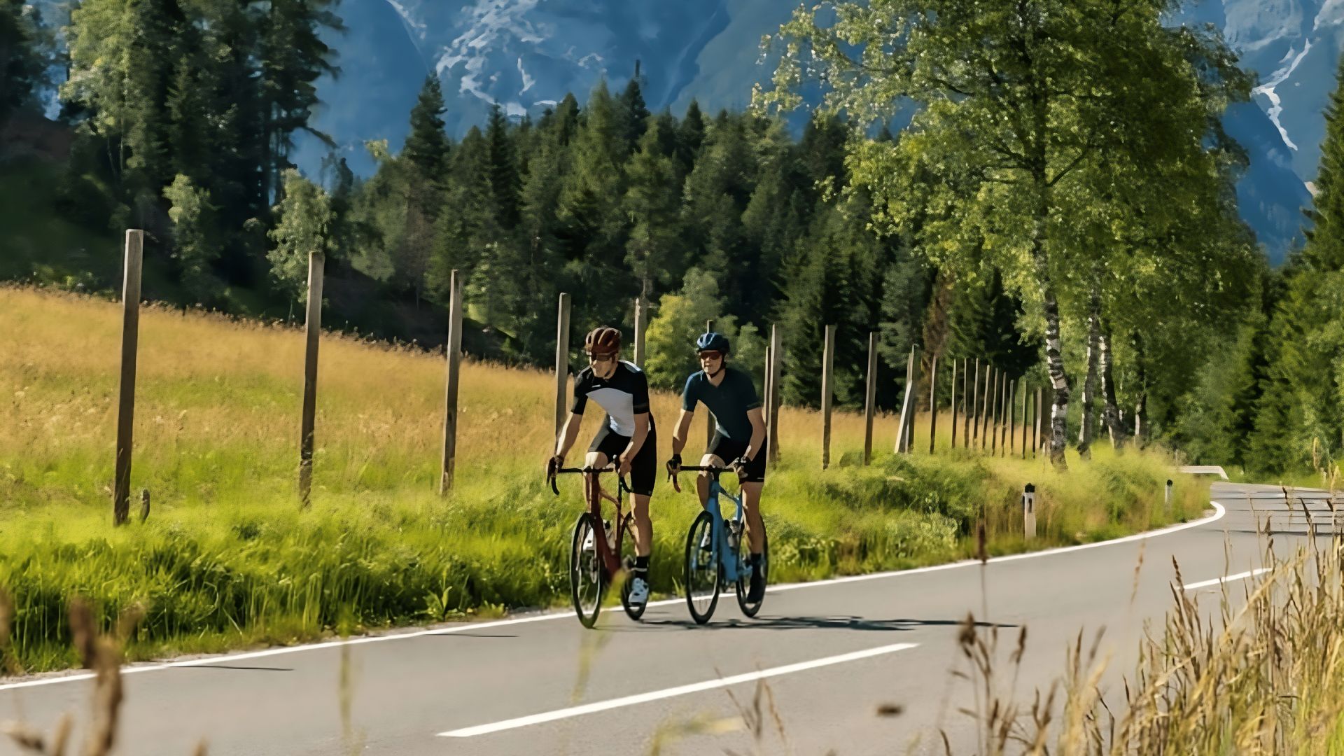 Bicicletes CUBE ATTAIN